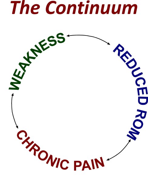 chronic pain continuum