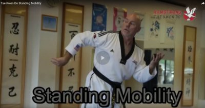 Tae Kwon Do Standing Mobility